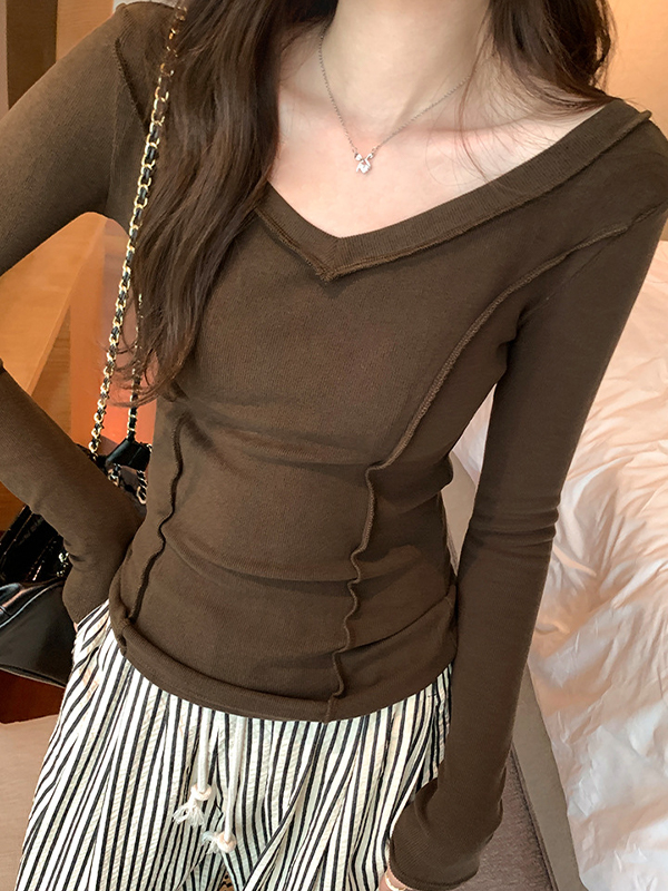 Solid V Neck Seam Detail Slim Long Sleeve Knit-2